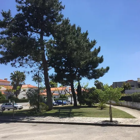 Vila Fabric